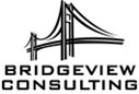 bridgeview consulting image